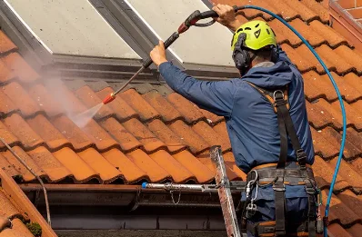 Démoussage et hydrofuge de toiture à Guéron